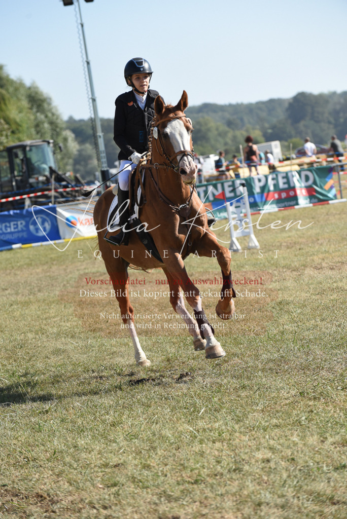 DSC_5963 | Pferde- und Turnierfotografie in Westsachsen. Pferdeportraits, Auftragszeichnungen und intuitive Kunst.