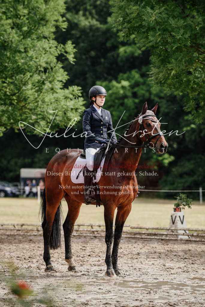 DSC_9571 | Pferde- und Turnierfotografie in Westsachsen. Pferdeportraits, Auftragszeichnungen und intuitive Kunst.
