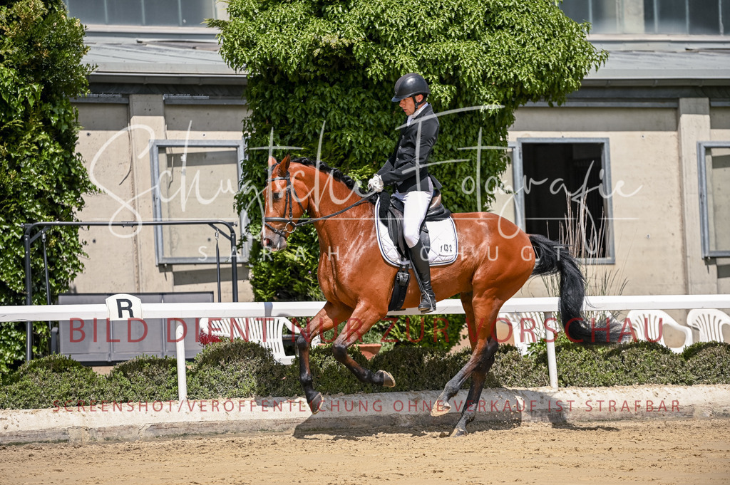 Schugtsche-Aluta25-48.Reitpferfdeprf.-230 | Schugtsche Fotografie - Realisiert mit Pictrs.com