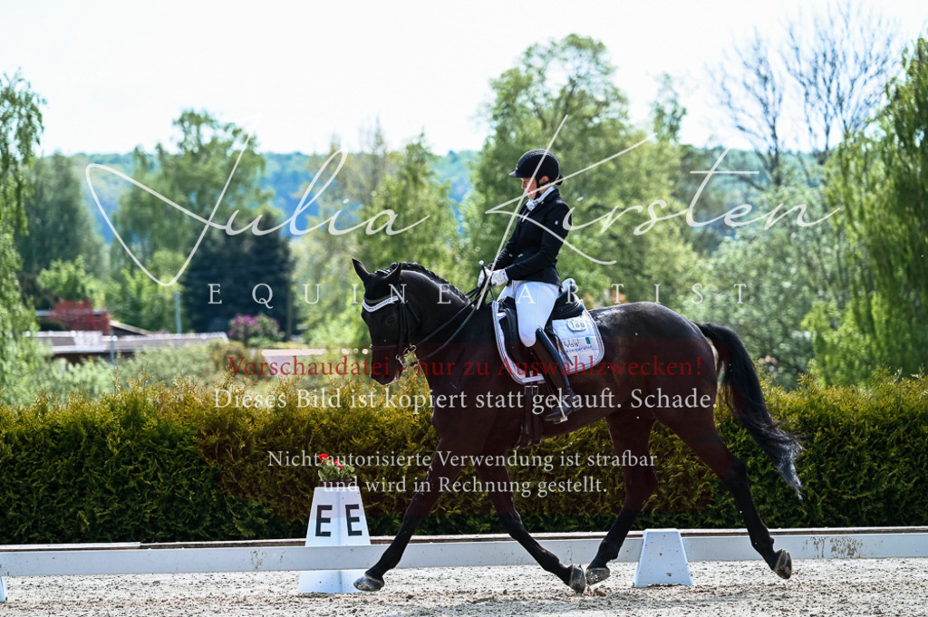 20230513_JK-Röhrsdorf-10-0623 | Pferde- und Turnierfotografie in Westsachsen. Pferdeportraits, Auftragszeichnungen und intuitive Kunst.