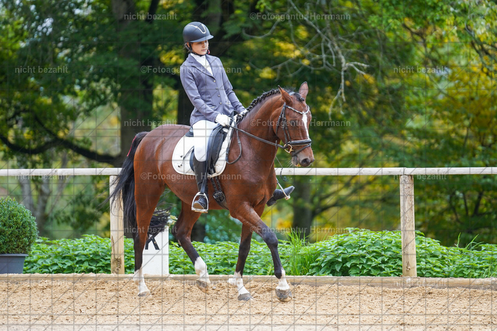 20221008-FAH01614 | Diessen am Ammersee, 2022, Dressur- und Springturnier, Reitsportbilder, Turnierfotografen Bayern, Pferdefotografen, Fotoagentur Herrmann, Turnierbilder
