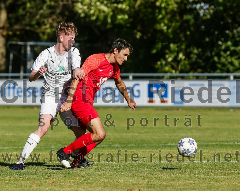 2023-10-22_041_SpVgg_Eichenkofen_gegen_SpVgg_Altenerding_II | Erding, Deutschland, 22.10.2023:
Fußball, A-Klasse 2023 / 2024, 12. Spieltag, SpVgg Eichenkofen gegen SpVgg Altenerding II, Endergebnis: 3:1

+a35+, Lukas Ippisch (SpVgg Eichenkofen, #5)

Foto: Christian Riedel / fotografie-riedel.net