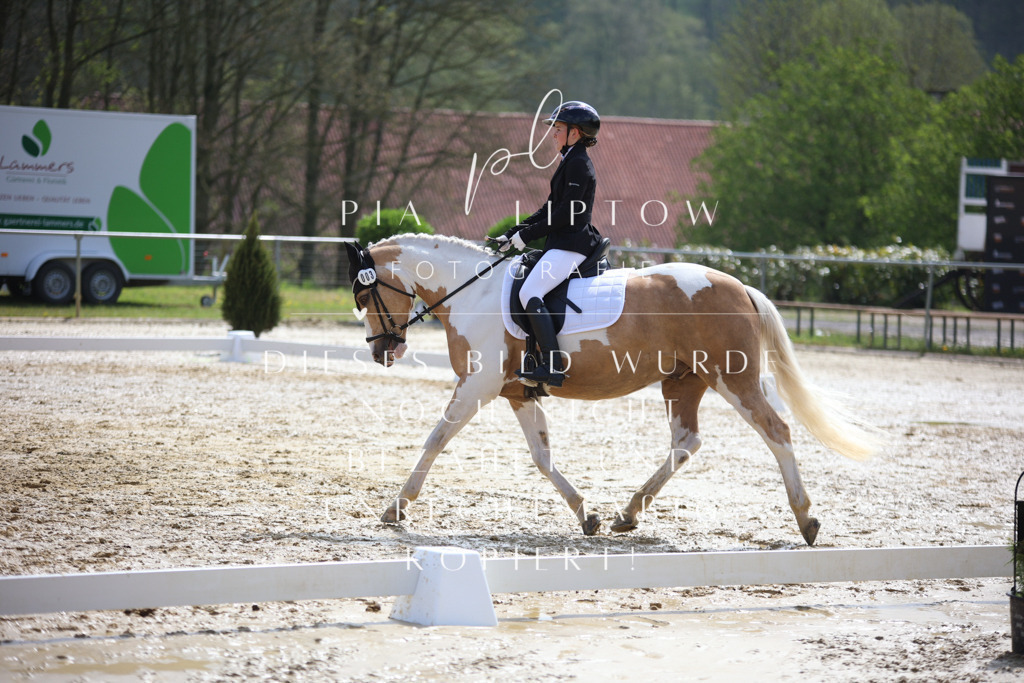 IMGT4242 | pl-fotografie