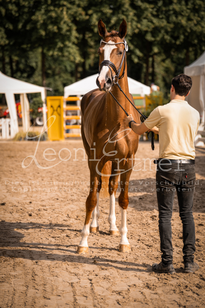 FrER00116 | Leoni Ertmer Photography - Realisiert mit Pictrs.com