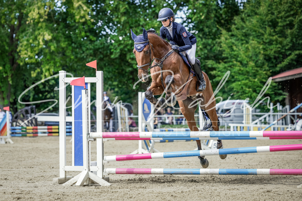 20250906-_3LI6242 | Tierfotografie Pferde, Hunde, Katzen, Haustiere.
Turnierfotografie Reitturniere, Reiten, Springreiten, Dressur in Hanau, dem Main-Kinzig-Kreis und dem Rhein-Main- Gebiet um Frankfurt
