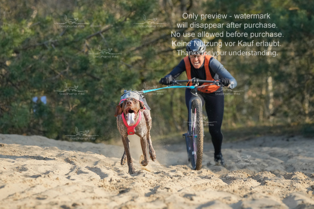 So_Scooter-32 | stephaniefillaphotographie - Realisiert mit Pictrs.com