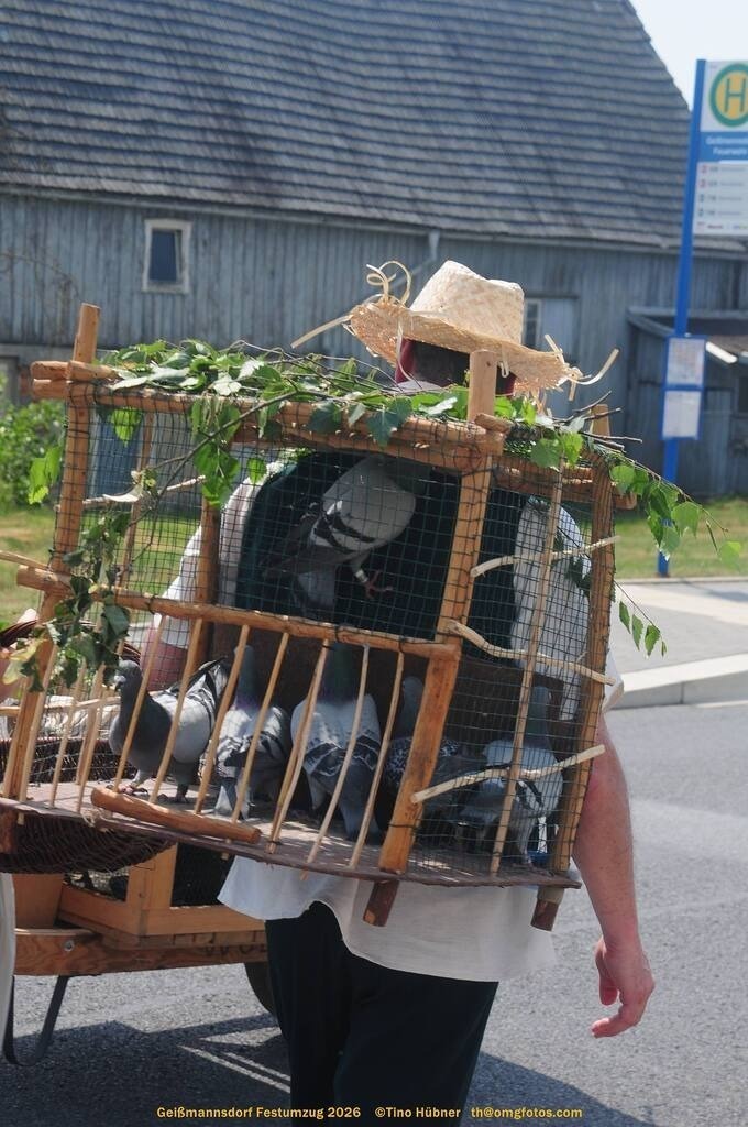 Geißmannsdorf-2026-Festumzug-115 | Festumzug in Geißmannsdorf bei Bischofswerda im Juni 2026. Fotografische Eindrücke und Momentaufnahmen vom Festumzug anläßlich des 800-jährigen Bestehens von Geißmannsdorf - mit Teilnehmern und Gästen, Strohpuppen und geschmückten Vorgärten und Grundstücken - Realisiert mit Pictrs.com