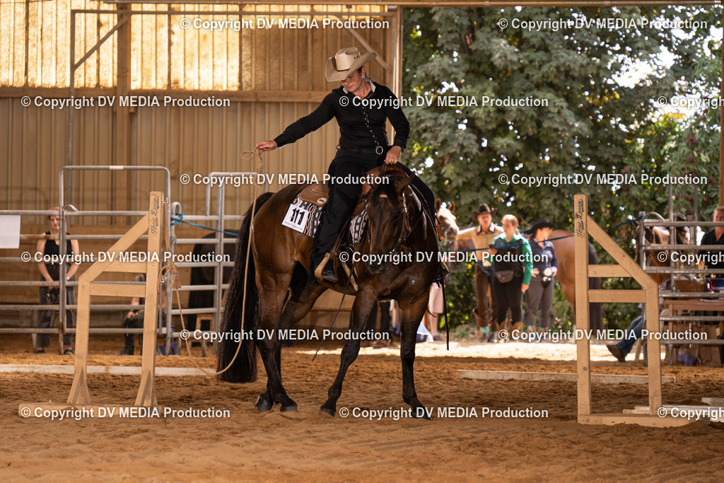 NID00586 | dv-media-shop - Realisiert mit Pictrs.com