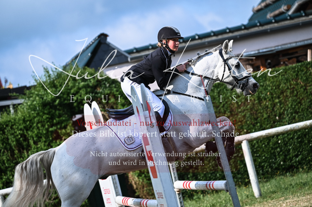 DSC_7738 | Pferde- und Turnierfotografie in Westsachsen. Pferdeportraits, Auftragszeichnungen und intuitive Kunst.