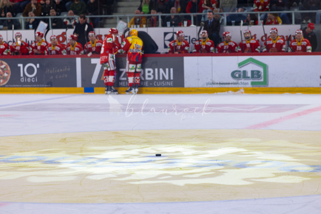 EHCB vs SCB 20260312_wb-4295 | Sportbilder, Sportfotograf, Hochzeits- und Eventfotografin, Flugshows, Portraits und Tiershooting, Aviation, Downhill, Nationalleague, Swissleague, International