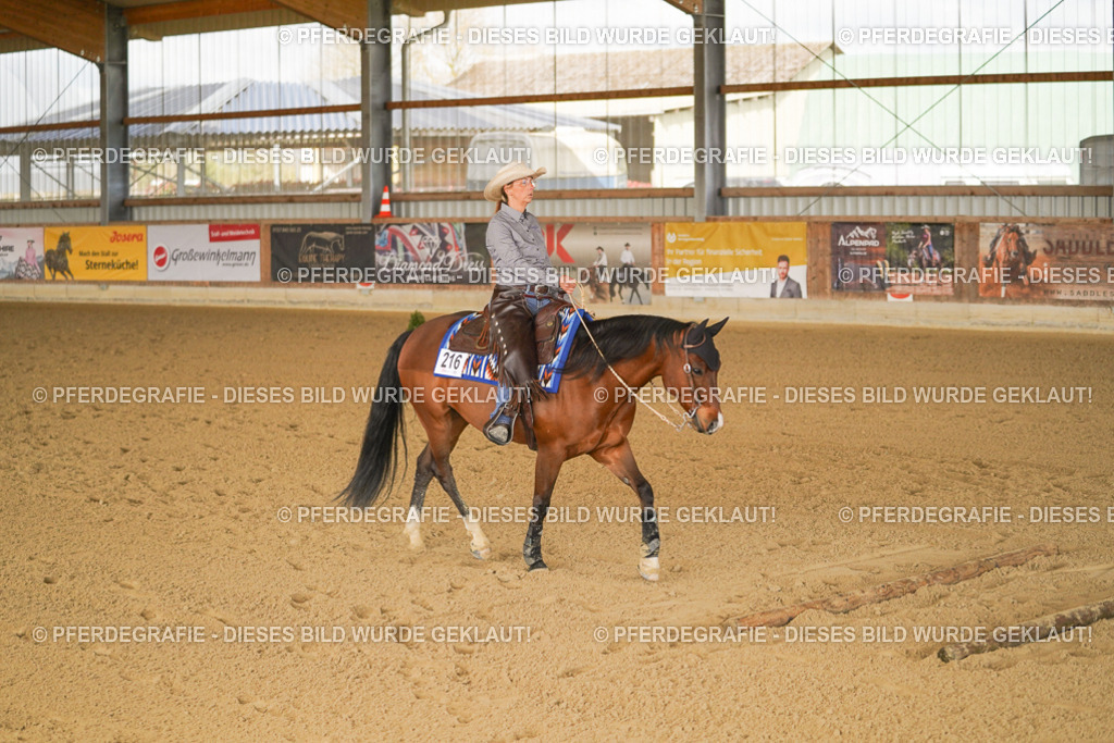 DSC02143 | Pferdegrafie