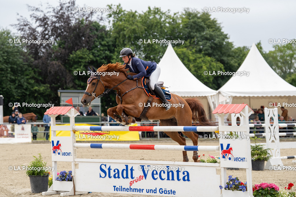 DSC08229 | Entdecke einzigartige Turnierfotos und persönliche Pferde- und Hundeportraits bei LA Photography. Für jeden Reiter und Pferd das perfekte Bild! Stöbere jetzt! - Realisiert mit Pictrs.com