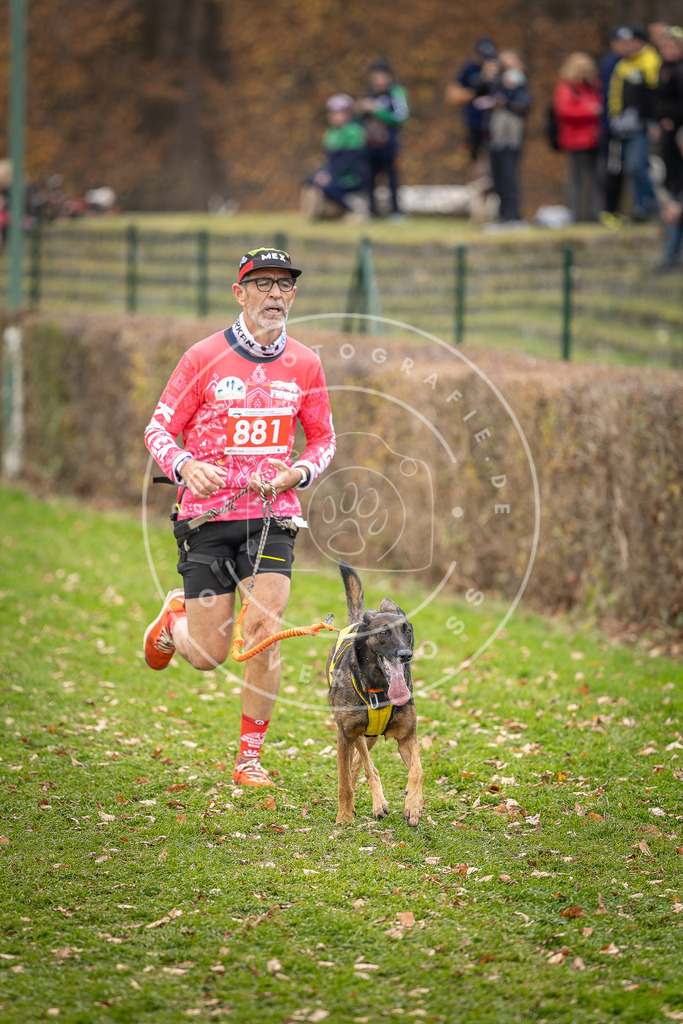 CaniXpix_DV3A6753 | Hundefotografie, Tierfotograf, Pfotenfotografie, Fotoshooting Hund, Hunde Portrait, Hundesport, Hundeportraits, Heideshooting, Hunde, Sportfotograf, Hundefotograf, Turnierhundsport, THS,  - Realisiert mit Pictrs.com