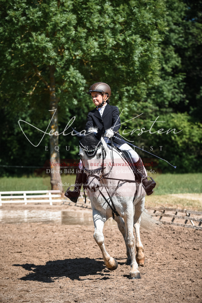 DSC_3567 | Pferde- und Turnierfotografie in Westsachsen. Pferdeportraits, Auftragszeichnungen und intuitive Kunst.