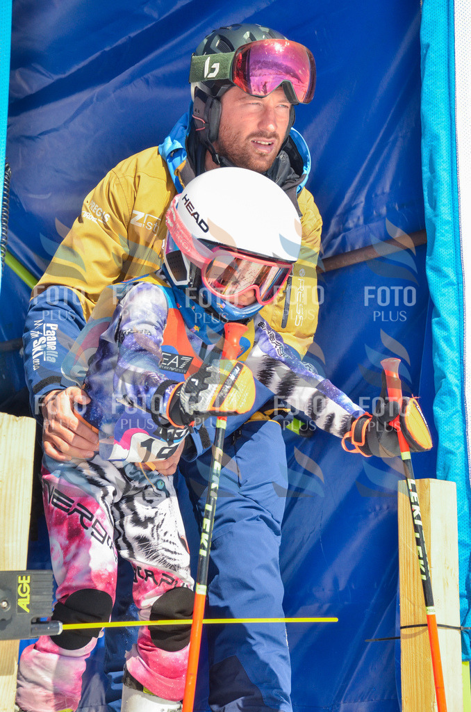 _ELE6235 | holidayphoto