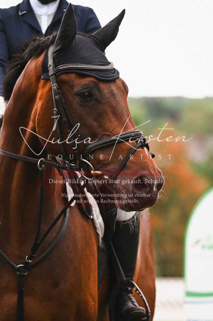 DSC_6696 | Pferde- und Turnierfotografie in Westsachsen. Pferdeportraits, Auftragszeichnungen und intuitive Kunst.