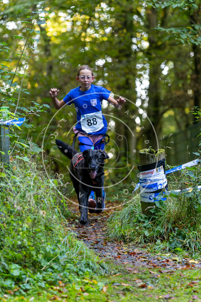 Pfotenfotografie_DV3A7642 | Hundefotografie, Tierfotograf, Pfotenfotografie, Fotoshooting Hund, Hunde Portrait, Hundesport, Hundeportraits, Heideshooting, Hunde, Sportfotograf, Hundefotograf, Turnierhundsport, THS,  - Realisiert mit Pictrs.com