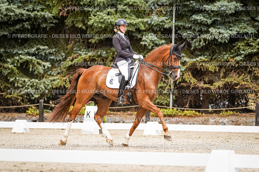 DSC05331 | Pferdegrafie