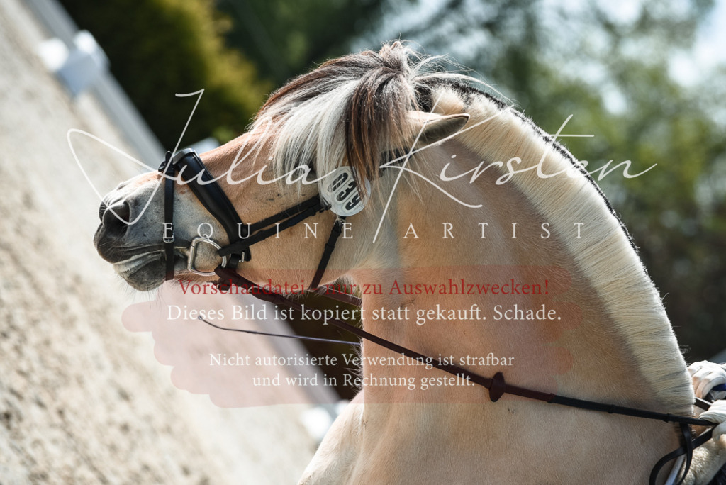 20230518_JK-Röhrsdorf-09-1125 | Pferde- und Turnierfotografie in Westsachsen. Pferdeportraits, Auftragszeichnungen und intuitive Kunst.