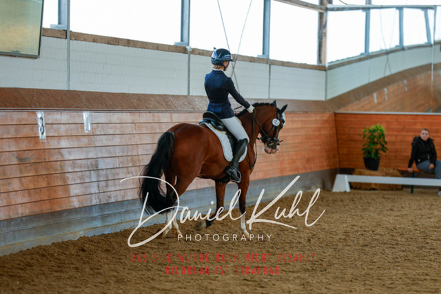 _62_7264 | Turniersportfotografie; Pferdefotografie; Dressurfotografie