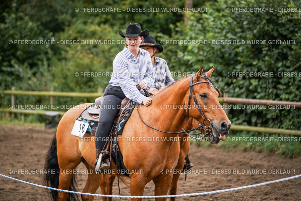 DSC08719 | Pferdegrafie