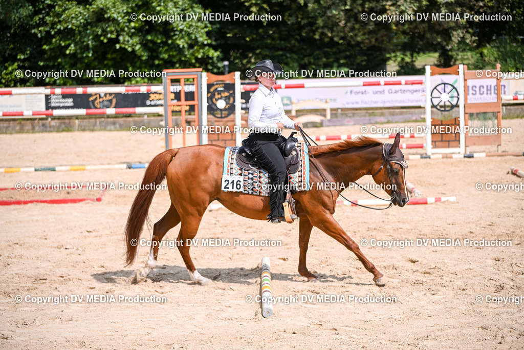 ZS2_3679 | dv-media-shop - Realisiert mit Pictrs.com