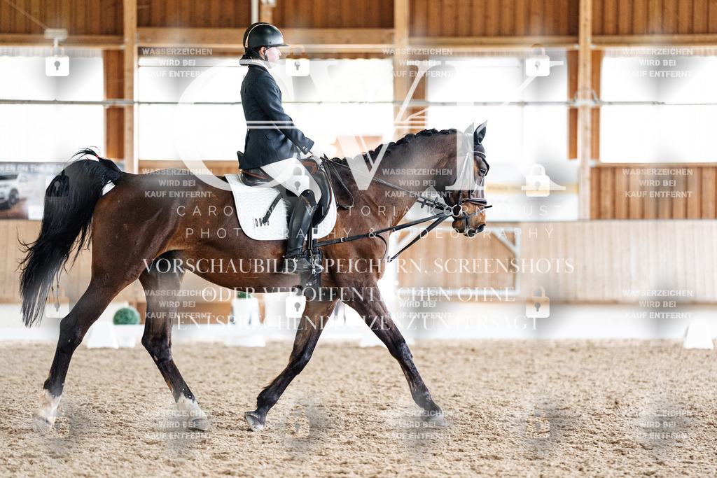 CK901777 | Turnierfotografie Pferdefotografie Trier Rheinland-Pfalz Pferdesport Reitsport Tierfotografie Sportfotografie Pferdevideo Pferdevideografie Equestrianvideography equestrianphotography  - Realisiert mit Pictrs.com