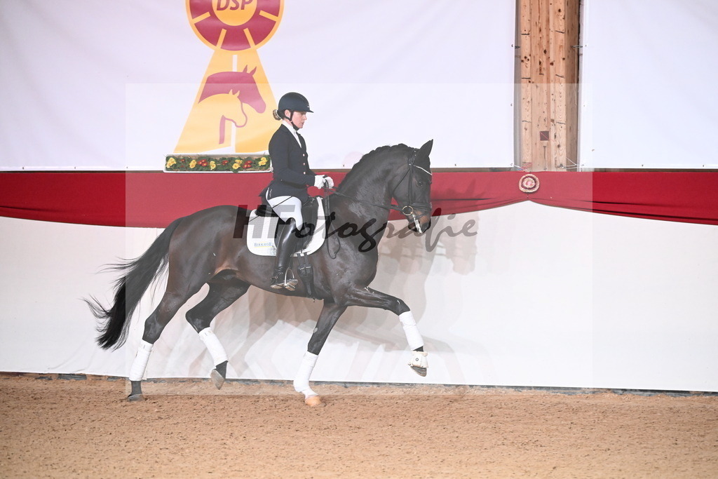 San__Haug_2254514 | hf-fotografie - Realisiert mit Pictrs.com