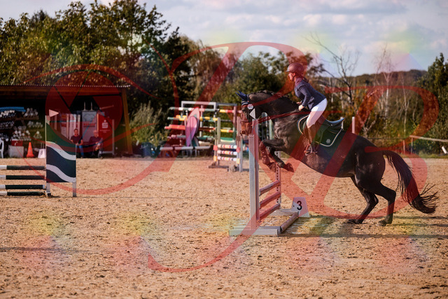 2026_10_03_Siefer-Hof_160106_Z81_81752241 | Professionelle Reitsport-, Turnier- und Eventfotografie von Robert Broda. Galerien mit ausgewählten und bearbeiteten Bildern direkt online ansehen und bestellen.