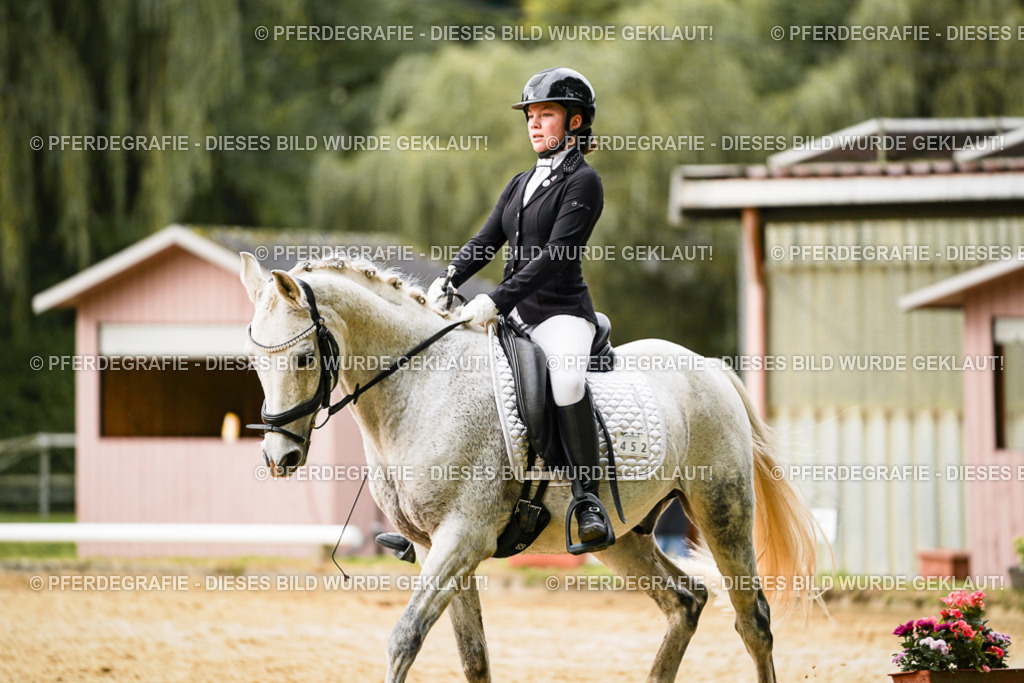 DSC07689 | Pferdegrafie