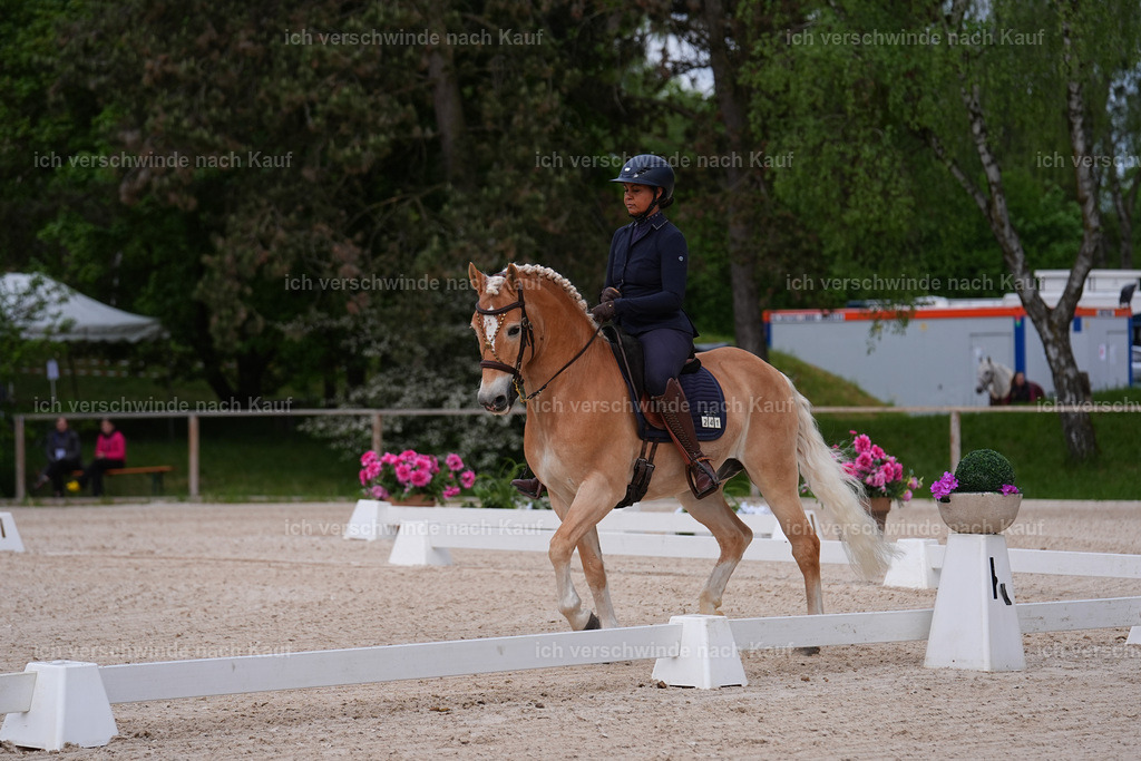 PI26_DR_241_Stoibphotography_SIN05960.jpg | working equitationturnier fotograf videograf stoibphotography marixx film working equitation deutschland reitsport turnierfotografie eventfotografie equestrian events