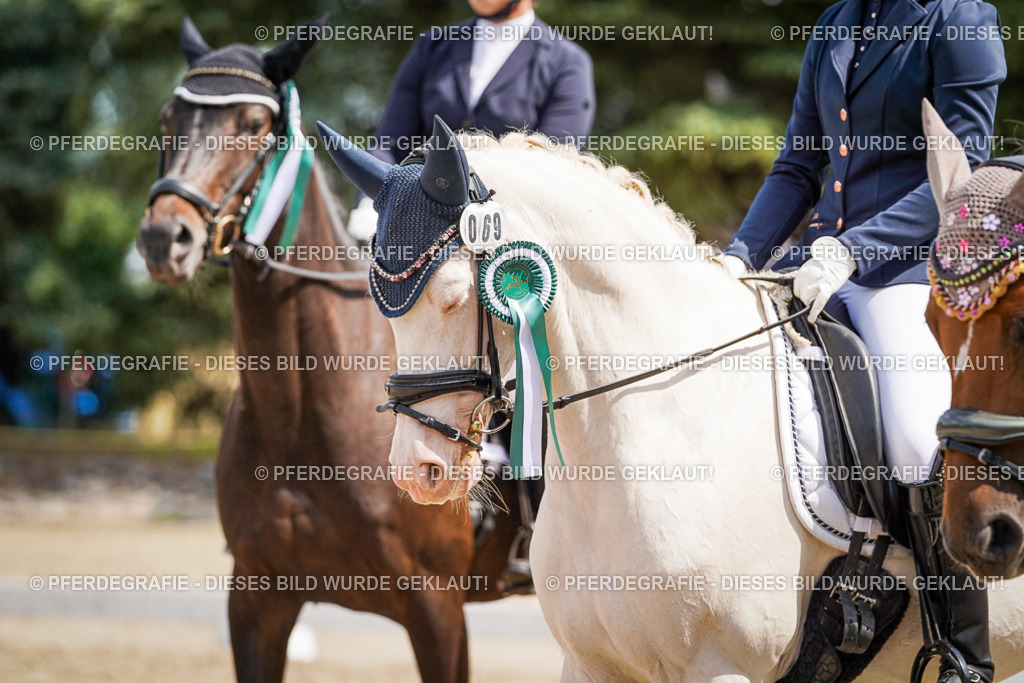 DSC02307 | Pferdegrafie