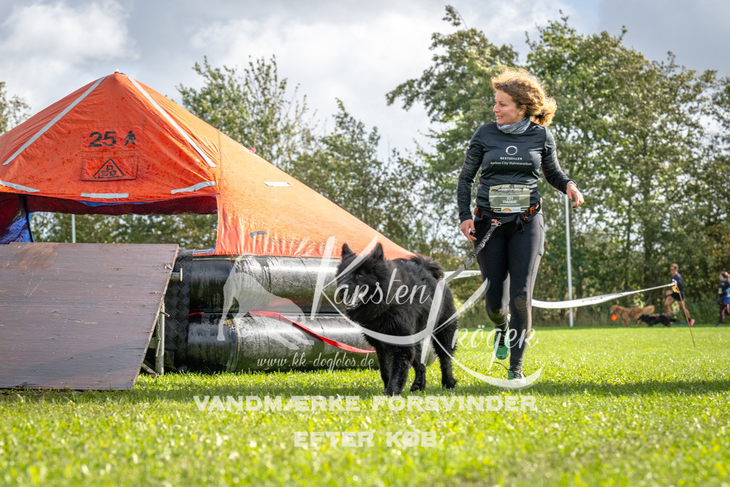 1220-93372 | kk-dogfotos