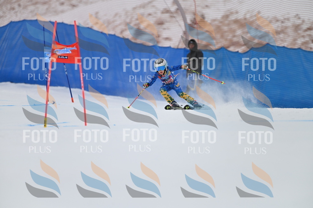 BGV_1303 | holidayphoto