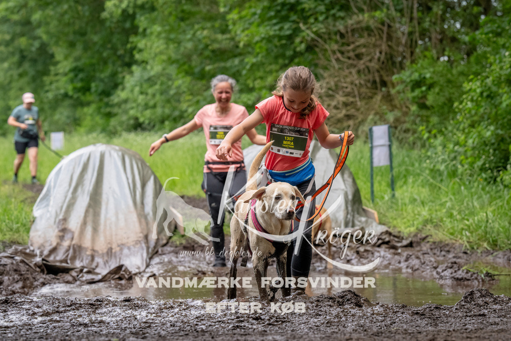 1530_ZZ93974-Bearbeitet | kk-dogfotos