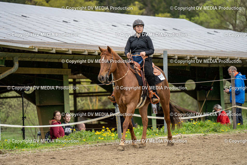 BAL00813 | dv-media-shop - Realisiert mit Pictrs.com