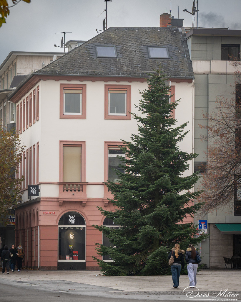 DSC_4233 | Fotografien, Fotos und Bilder aus Mainz, Frankfurt, Wiesbaden und anderen Orten auf der Welt - Fotografiert von Darius Metzner