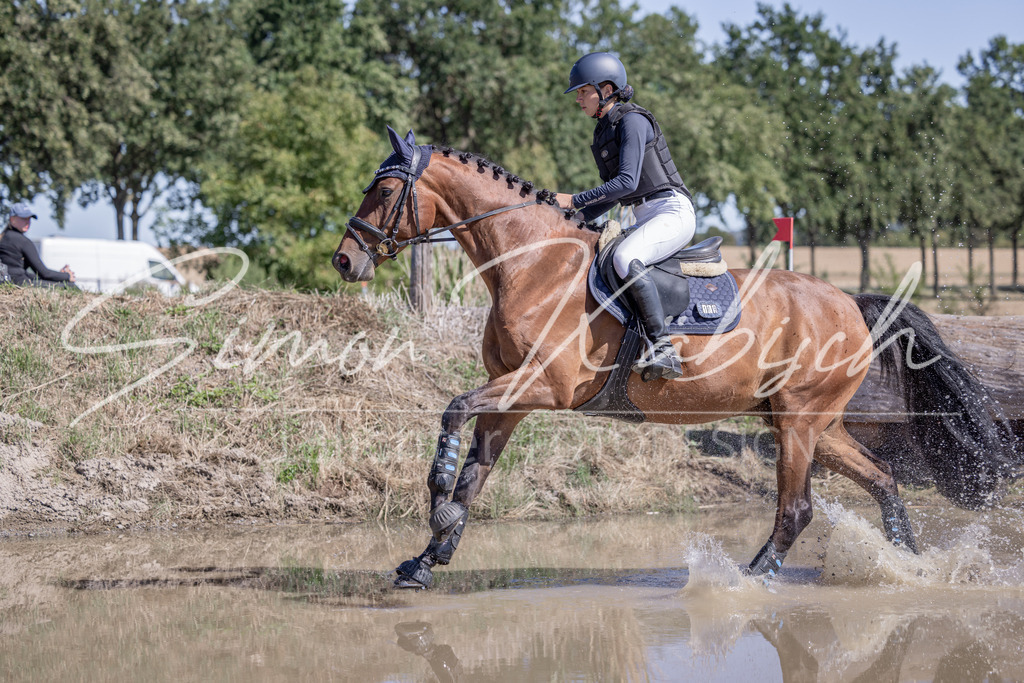 20260906-_3LI3822 | Tierfotografie Pferde, Hunde, Katzen, Haustiere.
Turnierfotografie Reitturniere, Reiten, Springreiten, Dressur in Hanau, dem Main-Kinzig-Kreis und dem Rhein-Main- Gebiet um Frankfurt