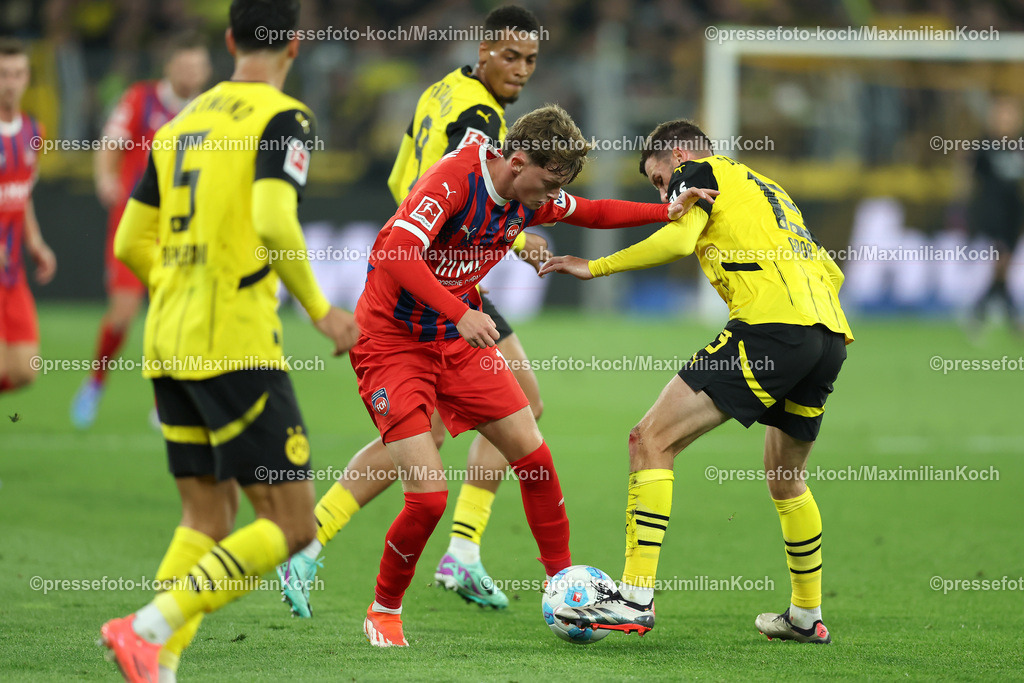 BVB13092402179 | 13.09.2024, 1. Fußball Bundesliga, Borussia Dortmund - 1. FC Heidenheim 1846, Signal Iduna Park, Saison 2024 2025: Paul Wanner (Heidenheim #10) gegen Pascal Groß (BVB #13)DFB regulations prohibit any use of photographs as image sequences and or quasi-video.