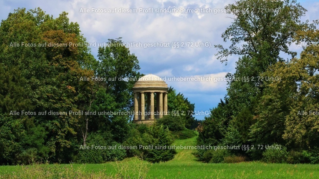 Photo_1753818998126 | krollfotografie - Realisiert mit Pictrs.com