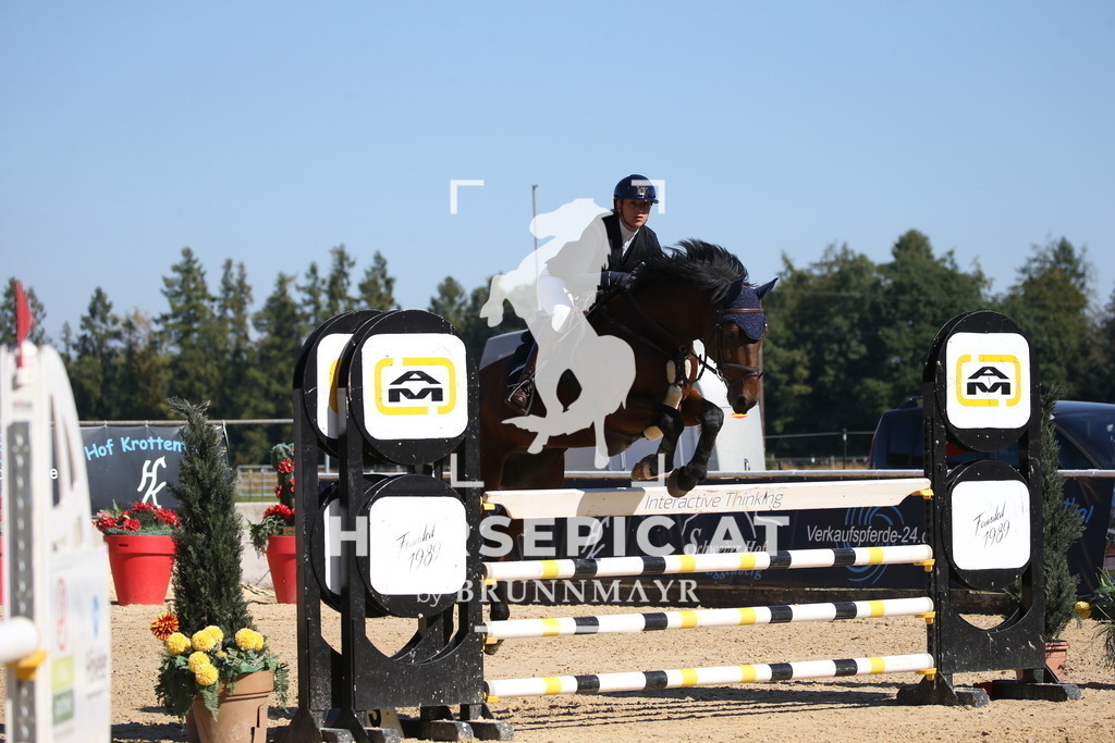 DL2Q2764 | Willkommen bei Brunnmayr - Design & Fotografie – Ihrem Spezialisten für Reitturniere und Pferdeveranstaltungen in Oberösterreich, Salzburg und Bayern! Seit über 17 Jahren sind wir leidenschaftlich dabei.