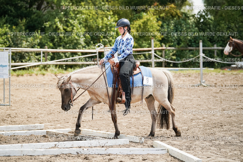 DSC07851 | Pferdegrafie