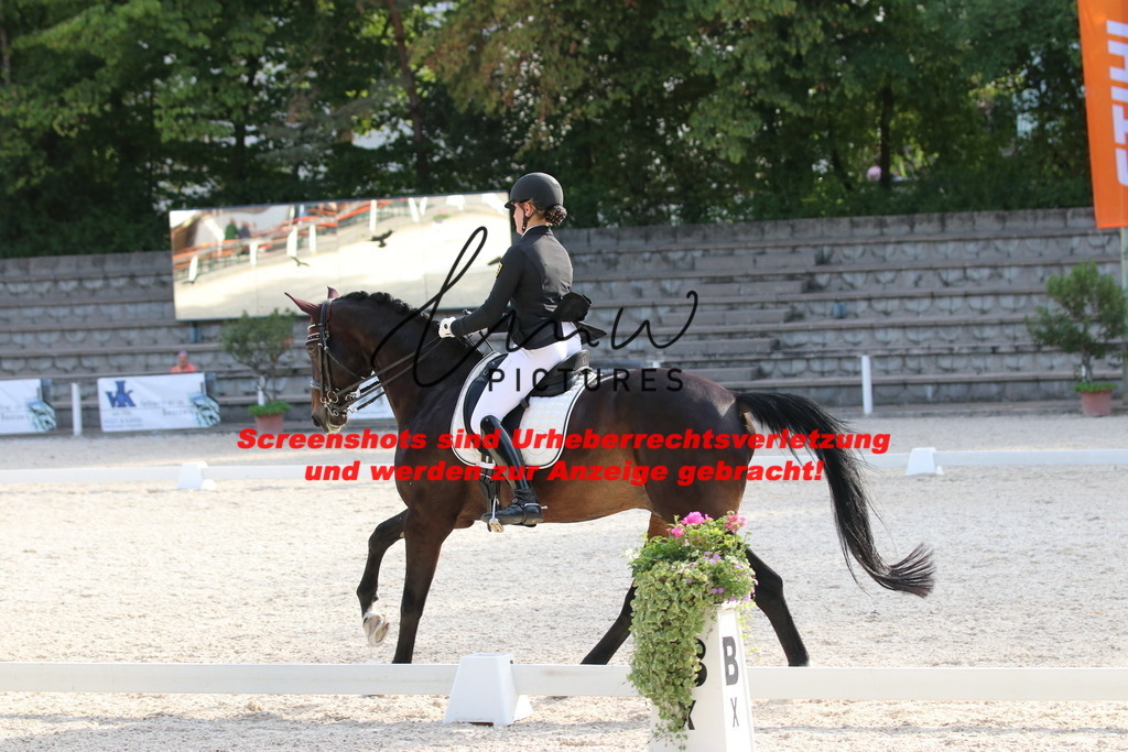 IMG_5843 | lmwpictures - Realisiert mit Pictrs.com