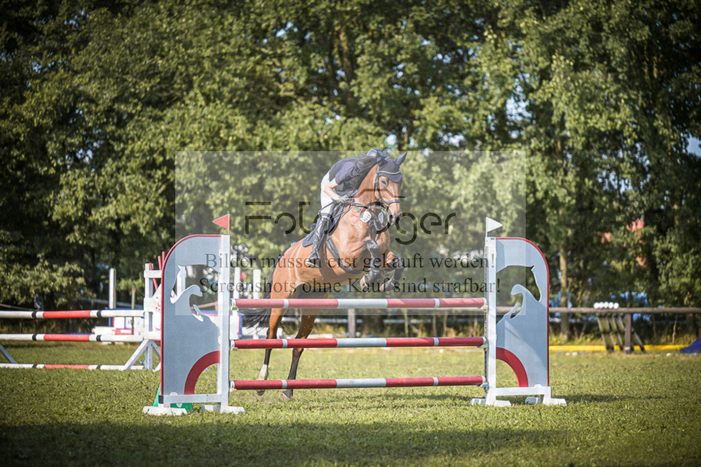 DOS_0584 | Entdecke hochwertige Reitturnierfotos von Foto Oger. Professionell, emotional und authentisch – jetzt Lieblingsmomente im Shop bestellen.Deutschlandweite Turnierfotografie. - Realisiert mit Pictrs.com