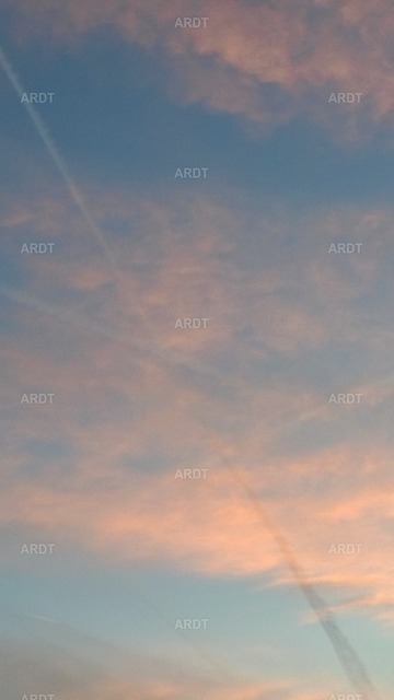 Momente 16 | ARDT Foto Kunst