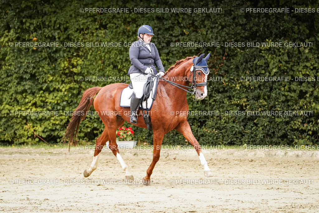 DSC03126 | Pferdegrafie