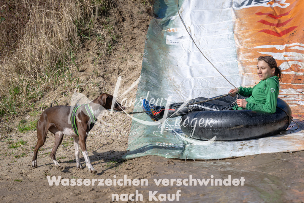 1046_ZZ91702 | kk-dogfotos