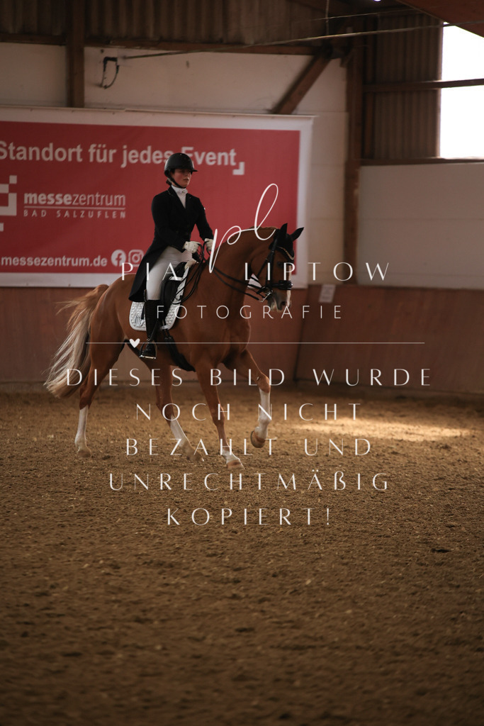 IMGT4668 | pl-fotografie