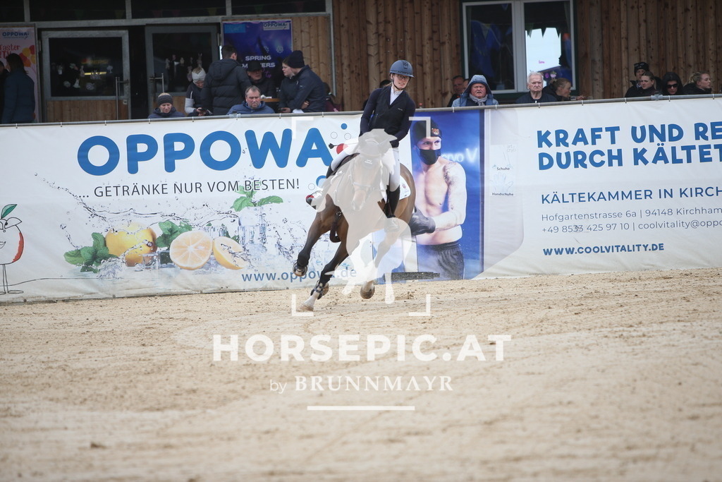 AS8V7742 | Willkommen bei Brunnmayr - Design & Fotografie – Ihrem Spezialisten für Reitturniere und Pferdeveranstaltungen in Oberösterreich, Salzburg und Bayern! Seit über 17 Jahren sind wir leidenschaftlich dabei.