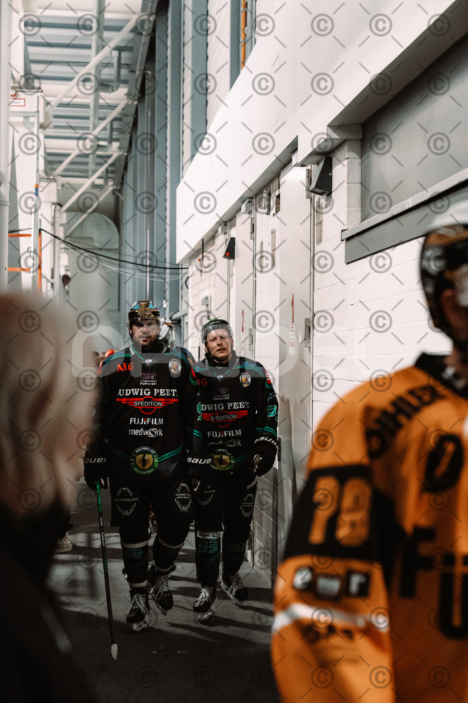 Alligators_vs_Fuessen_26.10.2025-089 | Höchstadt Alligators Fotogalerie: Eishockey-Action aus Franken. Professionelle Spielfotos, Portraits & Stadionbilder zum Download. Jetzt entdecken! - Realisiert mit Pictrs.com